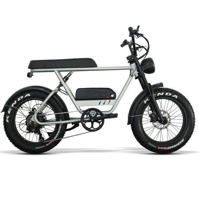 New Product Long Range Electric City Bike Cheap Electric Bikes 20inch Fat Tire Retro Mountain Ebike