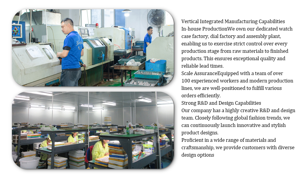 automatic watch obvlo