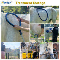 Appareil de physiothérapie magnétique PEMF MagFlex Loop pour la récupération après l'entraînement, la réduction de la douleur chez les chevaux, thérapie magnétique PEMF équine