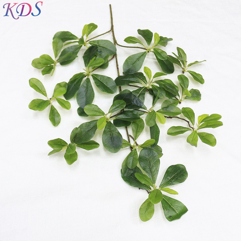 Fortrune simple philodendron 1pcs