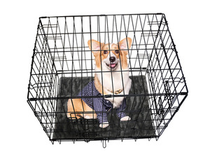 Cage pour animaux de compagnie en fil d'acier écologique pour petits animaux - Utilisation en voyage et en intérieur/extérieur - Product Image 4
