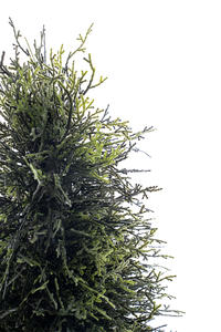 ต้นไม้พุ่มเทียมทรงกรวยทำจากพลาสติกและโลหะสูง1.9เมตรสำหรับตกแต่งภายในและภายนอกอาคาร - Product Image 3