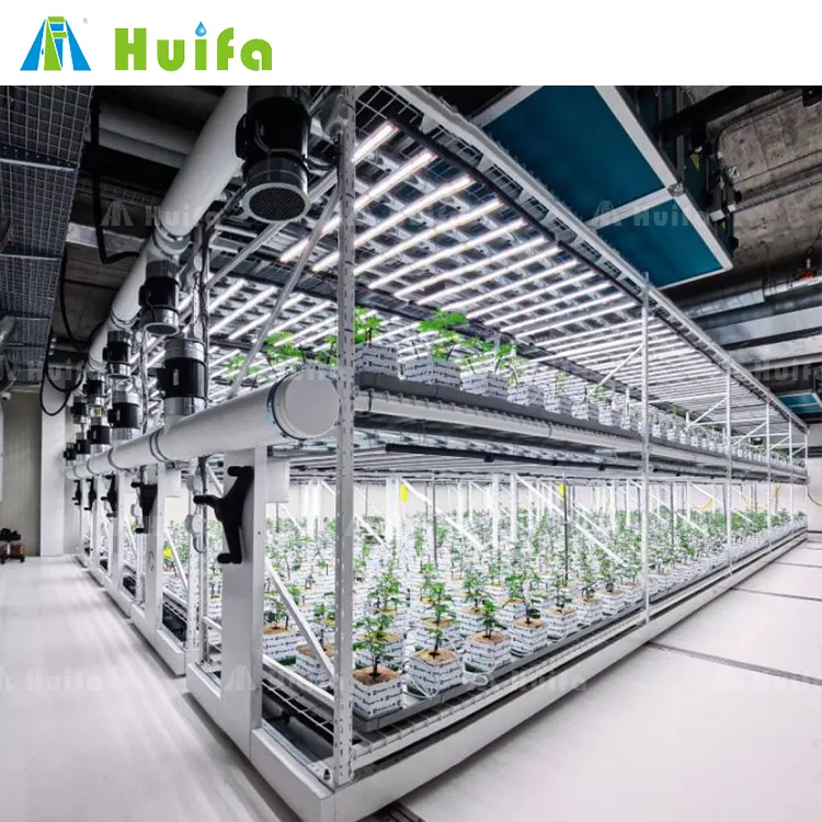 La mejor solución para equipos de cultivo vertical con luces de cultivo LED Bastidores agrícolas verticales inteligentes