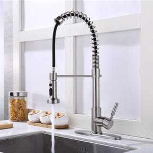 <span class=keywords><strong>Grifos</strong></span> <span class=keywords><strong>de</strong></span> fregadero <span class=keywords><strong>de</strong></span> cocina <span class=keywords><strong>de</strong></span> palanca única, contemporáneo, OEM, <span class=keywords><strong>grifos</strong></span> extraíbles, barra <span class=keywords><strong>de</strong></span> utilidad <span class=keywords><strong>de</strong></span> lavandería <span class=keywords><strong>de</strong></span> satén <span class=keywords><strong>de</strong></span> primavera - Product Image 2