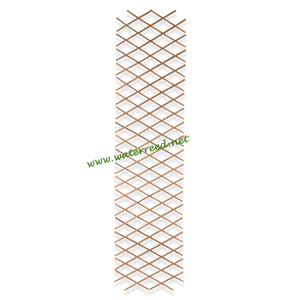 Mắt Cáo Liễu - Product Image 1