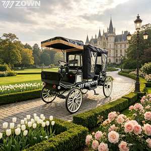 Carroza Eléctrica sin Caballos para Uso Comercial, Vehículo Turístico de 4 Ruedas para Parques, Resorts, Alquiler, Negocios, Eventos y Espectáculos - Product Image 1