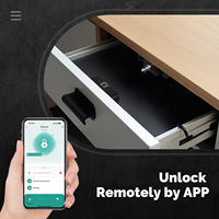 Serrure Intelligente Tuya pour Porte en Bois avec Contrôle à Distance par Application, Surveillance, Déverrouillage sans Clé par Carte IC pour Armoire, Casier, Meuble, Tiroir