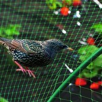 Filet de protection anti-oiseaux en HDPE pour la protection des fruits, des légumes, des vergers, des rizières, des fermes agricoles