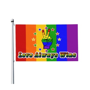 Флаг Progress LGBT 3x5ft, флаг Lgbtq, лидер продаж, флаг любви всегда выигрывает - Product Image 1