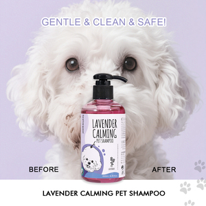Shampooing pour animaux de compagnie à la lavande biologique naturelle personnalisé, shampooing <span class=keywords><strong>anti</strong></span>-démangeaisons pour chiens <span class=keywords><strong>et</strong></span> chats - Product Image 5