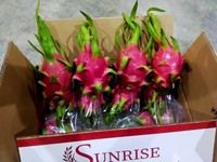 Verse Dragon Fruit (Kwaliteit A) Vers fruit uit Ninh Thuan, Vietnam (60 dagen houdbaarheid)