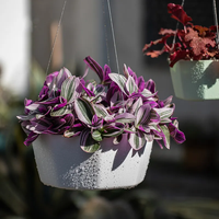 Pot Gantung Geometris, Pot Bunga Gantung Plastik dengan Rantai Logam, Keranjang Penyiram Otomatis yang Tahan Lama untuk Balkon dan Teras