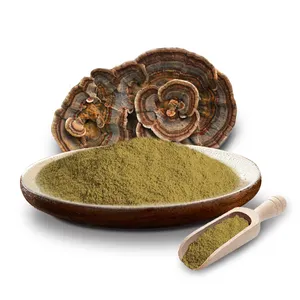 Organic Coriolus Versicolor Mushroom Extract Turkey Tail Powder Healthy Herbal Plant