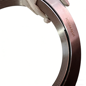 अनुकूलन योग्य मीट्रिक थ्रेड रिंग गेज-0.01 मिमी सटीकता Gक्र15 स्टील, 0-100 मिमी रेंज - Product Image 2