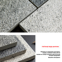 Carreaux de porcelaine extérieurs Mystic Beige, épaisseur 18 mm, isolation thermique, style antique, modernes, pour terrasse extérieure, villa, école