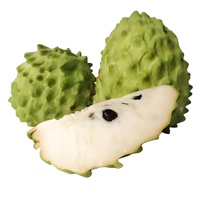 Premium Natuurlijke Zuurzak Fruitpoeder Zuurzak Vruchtensap Poeder