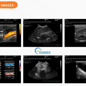 Échographe numérique noir et blanc portable pour vétérinaires, système de diagnostic ultrasonore à prix imbattable BW21Avet - Product Image 5