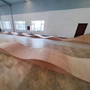 Ensembles de planche à roulettes en gros <span class=keywords><strong>Skate</strong></span> <span class=keywords><strong>Park</strong></span> <span class=keywords><strong>Skate</strong></span> Ramp pour débutants - Product Image 3