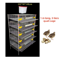 Cage à cailles de type H à alimentation et abreuvement automatiques pour l'élevage de volailles en ferme avicole avec acier galvanisé durable