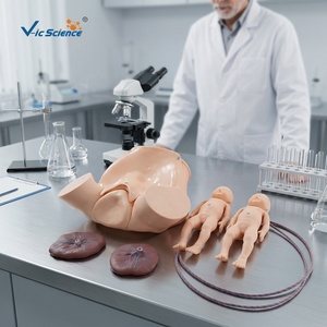 Manichino a grandezza naturale per addestramento all'assistenza all'illuminazione, modello realistico in PVC per simulazione di parto, per l'insegnamento in laboratorio medico, certificato CE/ISO/ROHS/CNAS - Product Image 4