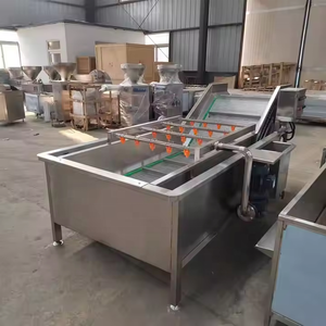 Laveuse à bulles haute capacité pour le traitement en vrac des légumes-feuilles (épinards, laitues) – Conception à haut rendement - Product Image 5