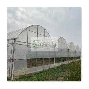 Outdoor casa verde metal quadro agricultura agricultura comercial grande multi-span plástico estufa para plantas