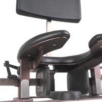 Chaise SM pour facesitting, d'entraînement érotique, pour esclave de toilette, pour humiliation à l'eau bénite dorée, pour stimulation intense de la vulve par léchage, chaise BDSM, chaise sexuelle
