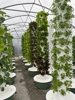 Système d'irrigation aéroponique Spacetree HT1 pour culture hors-sol, pompe de culture hydroponique pour légumes d'intérieur, facile à utiliser, en matériau ABS