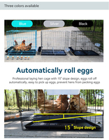 Cage d'Élevage de Volaille Professionnelle en Métal pour Poulets de Chair et Poules Pondeuses