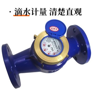 Compteur d'eau froide multi-jets à bride de 2 pouces/2,5 pouces, type rotatif, calibré en standard, XS-50/65 - Product Image 2
