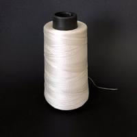 Machine à coudre naturelle de couleur blanche de haute qualité 100% fil de cordon de soie pur pour la broderie