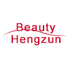 Shenzhen Hengzun Electric Appliance Co., Ltd. logo