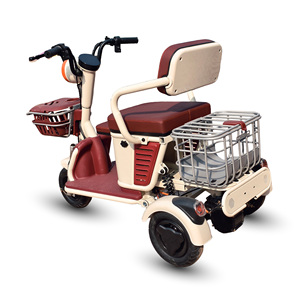 Tricycle électrique Holladay 600W à carrosserie ouverte, scooter de mobilité 2 <span class=keywords><strong>places</strong></span>, vélo électrique à 3 roues pour adultes et personnes âgées, utilisation en extérieur - Product Image 3