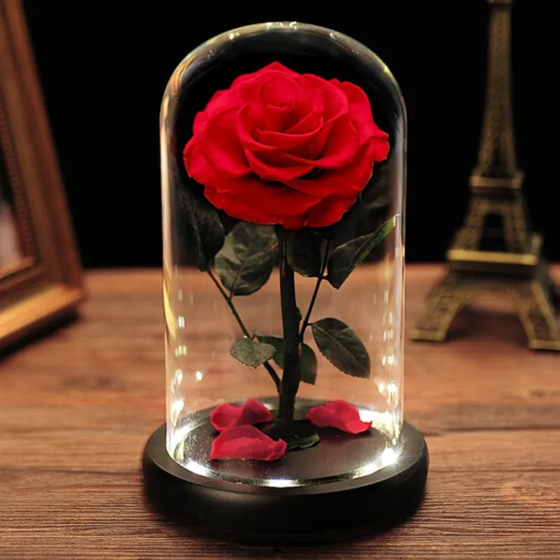 وردة حقيقية مع مصباح ليد أزهار محفوظة في الزجاج الأبدية زهرة قبة لفتاة امرأة أحمر عيد الحب هدية العينى ارتفع 1 قطعة