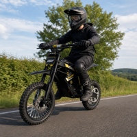 Moto tout-terrain électrique Surron Style 3500W de puissance maximale pour adultes, batterie 48V 28Ah 24Ah 20.8Ah, stock US, livraison directe, E-Bike tout-terrain