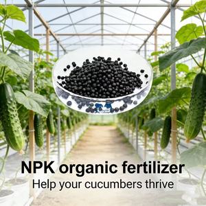 Engrais granulaire organique NPK soluble dans l'eau personnalisé pour l'agriculture et le jardinage - Product Image 3