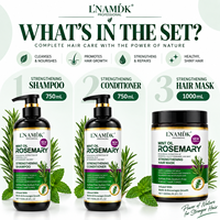 Kit de soin capillaire 3 étapes à la menthe, au romarin et à la biotine : shampoing, après-shampoing et masque capillaire pour nourrir les cheveux secs et abîmés