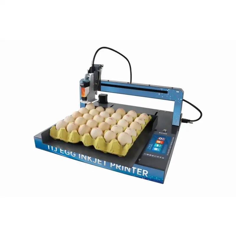 خط إنتاج رقم دفعة بيض البط والدجاج من INCODE للطباعة التلقائية للكرتون