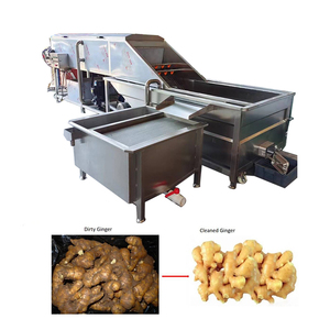 Machine <span class=keywords><strong>de</strong></span> nettoyage du gingembre, laveuse automatique <span class=keywords><strong>de</strong></span> gingembre pour usage agricole - Product Image 1