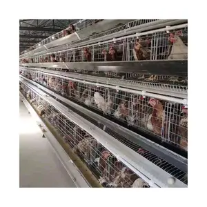 design chicken cages egg layer chicken cage automatic system chicken cage for layers poultry farming