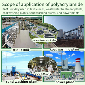 Prodotti Chimici per Campi Petroliferi, Fluido di Perforazione, Poliacrilammide Anionica PAM, Flocculante, Inibitore di Schiuma, Stabilizzatore di Argilla, Agente Chimico Ausiliario - Product Image 3
