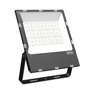 IP66 outdoor lighting Die-cast aluminum housing 6KV led flood light 100w 150w 200w 5 years warranty