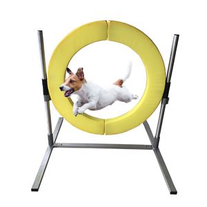USMILEPET <span class=keywords><strong>Best</strong></span> Seller Pet çeviklik yaka köpek çeviklik Hoop atlama köpek eğitim ekipmanları köpekler için Pet lastik - Product Image 2