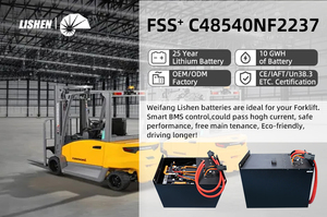 Paket Baterai Golf Cart Lithium-Iron LiFePO4 48V 51.2V 100Ah 200Ah dengan BMS 6000 Siklus - Product Image 6