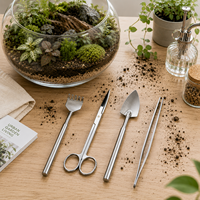 Kit d'entretien de terrarium DIY, outils en acier inoxydable, mini-outils pour plantes succulentes, outils de jardinage pour plantes d'intérieur