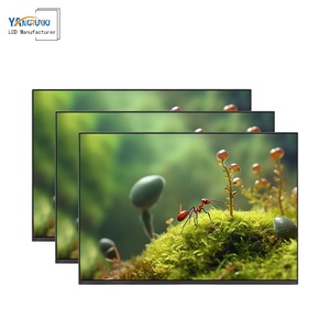 Số lượng nhỏ 10.1 inch thương mại màn hình ngoài trời giá rẻ NS101WUM-N51 TFT <span class=keywords><strong>LCD</strong></span> module với giao diện EDP 1920x1200 Độ phân giải - Product Image 6