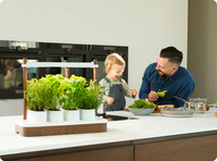 Mini Jardin Hydroponique Solaire Intelligent avec Pots et Jardinières Innovants