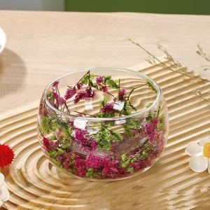 Glazen schaal met dubbele laag, hittebestendig, voor fruitsalade, soep, ontbijtgranen, desserts, droogbloemen. - Product Image 6
