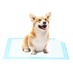 Wholesale Hot Sale Disposable Pet Care Sleeping Mat Dog Training Pads