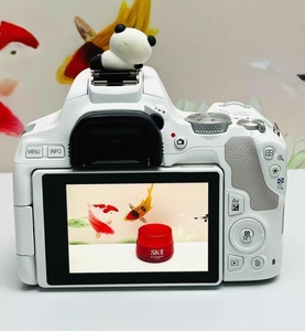 กล้องดิจิตอลยอดนิยม รุ่น 200D II ชุดเลนส์ 18-55 มม. กล้องพร้อมใช้งาน กล้องระดับเริ่มต้น 200D Mark II - Product Image 4